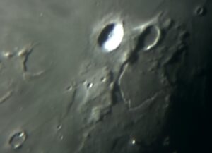 mond_schroeteri